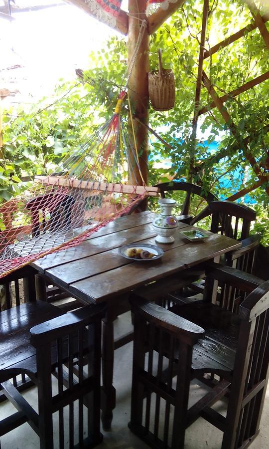 Casa Cosmin Hostal Dobra Exterior foto